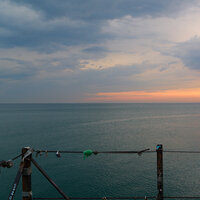 /gallery/scale/1752411473-710231-989-sq.jpg