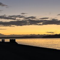 /gallery/scale/1759466614-2436085-905-sq.jpg
