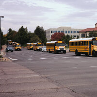 /gallery/scale/1760136057-2628997-256-sq.jpg