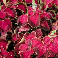 /gallery/scale/1760136057-2628997-926-sq.jpg