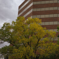 /gallery/scale/1760136058-2628997-766-sq.jpg