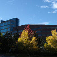 /gallery/scale/1760403501-2707159-735-sq.jpg