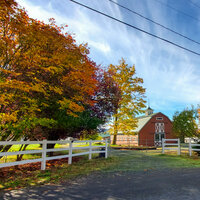 /gallery/scale/1761180816-2942639-501-sq.jpg
