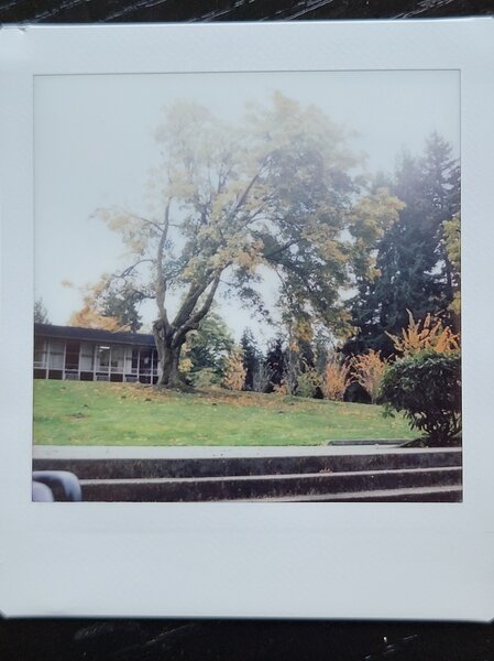 tagisu - 1761759010-3102108-471