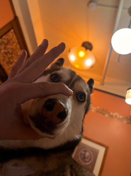 tagisu - 1762196644-3271665-12