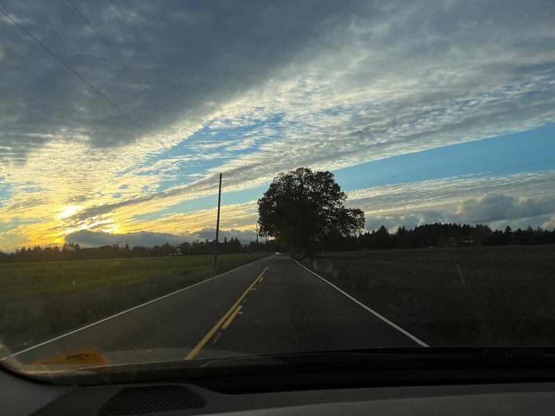 tagisu - 1762196644-3271665-151