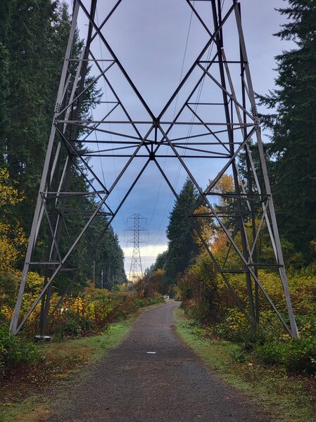 tagisu - 1762270963-3296916-586