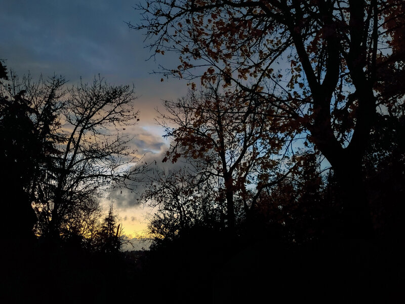 tagisu - 1762481394-3373861-970