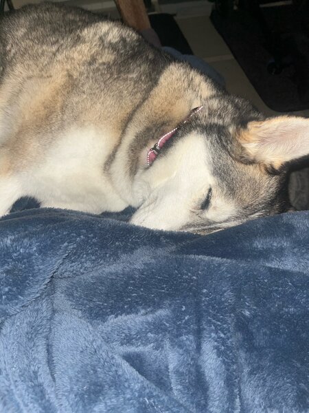 tagisu - 1762680879-3437318-307