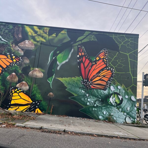 tagisu - 1762733781-3453750-210