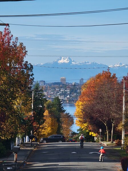 tagisu - 1762745908-3457349-292