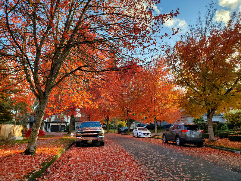 tagisu - 1763170504-3581161-788