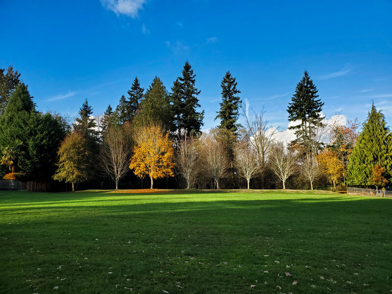 tagisu - 1763170602-3581194-810