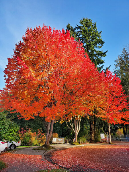 tagisu - 1763170657-3581216-751