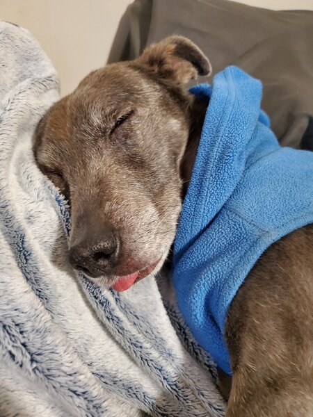 tagisu - 1763996507-3795646-117