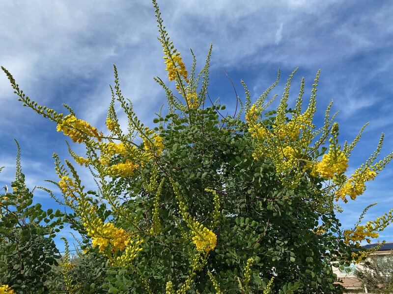 tagisu - 1764201282-3857439-726