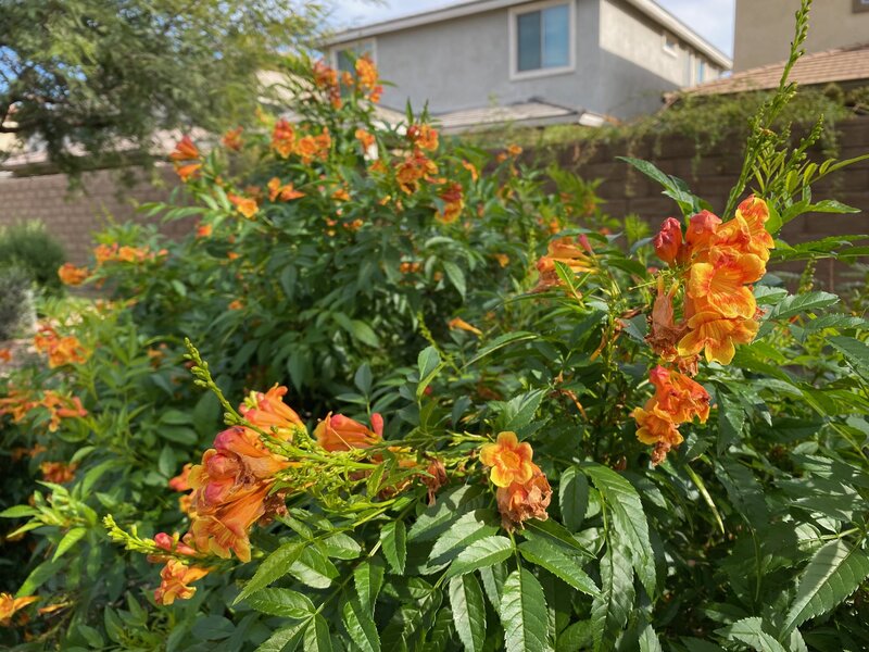 tagisu - 1764201293-3857449-638