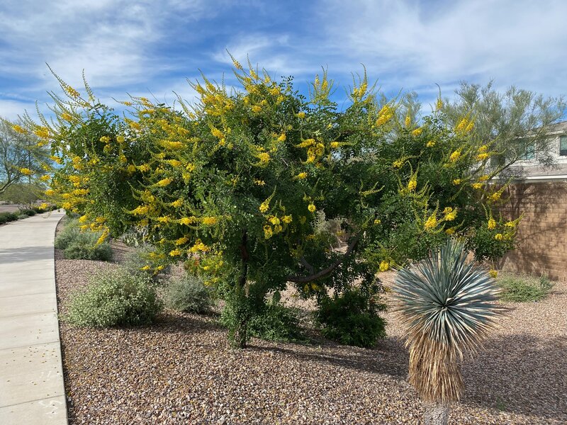 tagisu - 1764201311-3857460-382