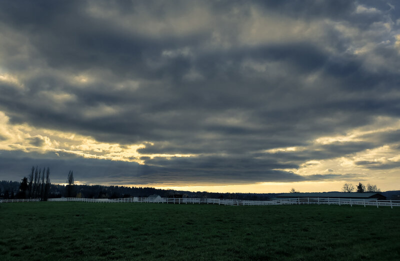 tagisu - 1764710566-3995377-216