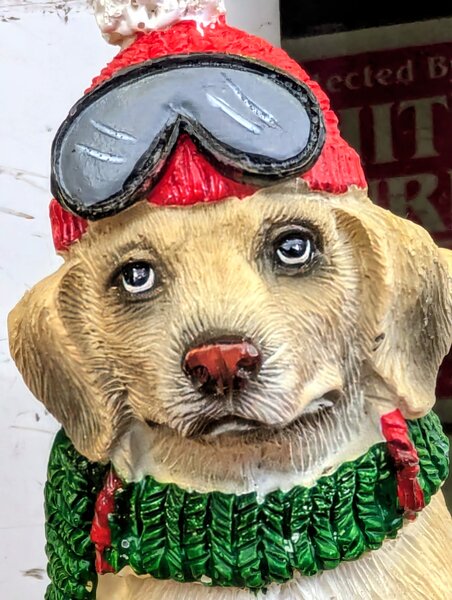 tagisu - 1764973160-4064379-796