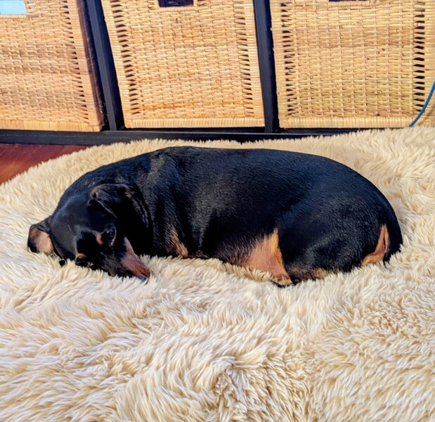 tagisu - 1765080586-1994-306