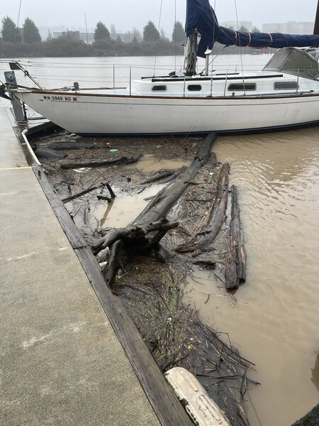 tagisu - 1765447055-100596-247