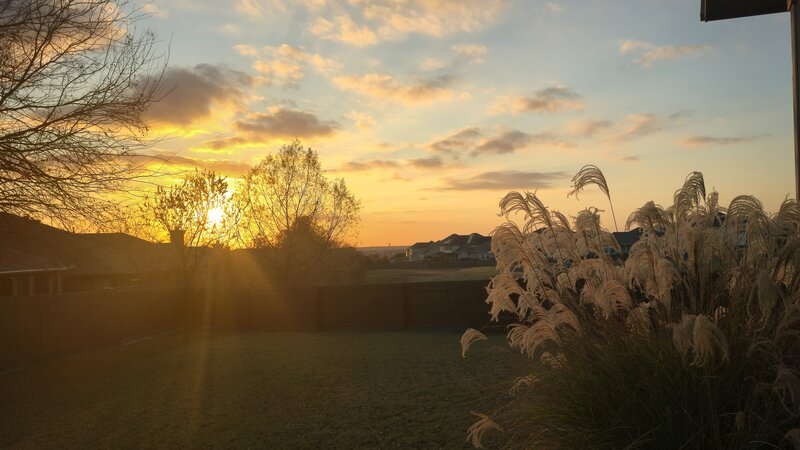 tagisu - 1766733708-23647-992