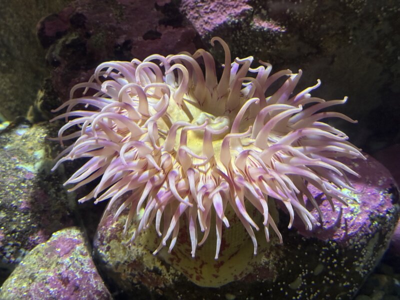 tagisu - 1766871649-61284-116