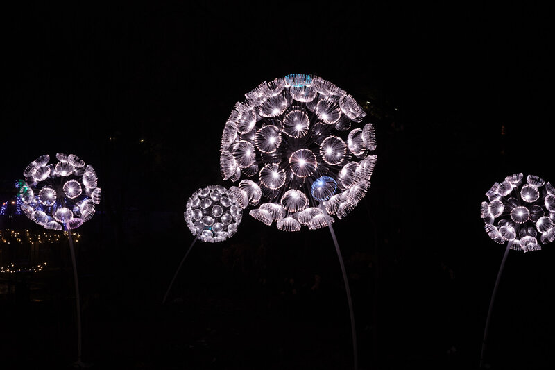 tagisu - 1766894481-67191-176