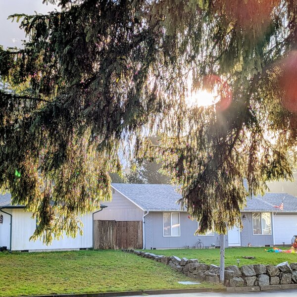 tagisu - 1766972072-88011-867