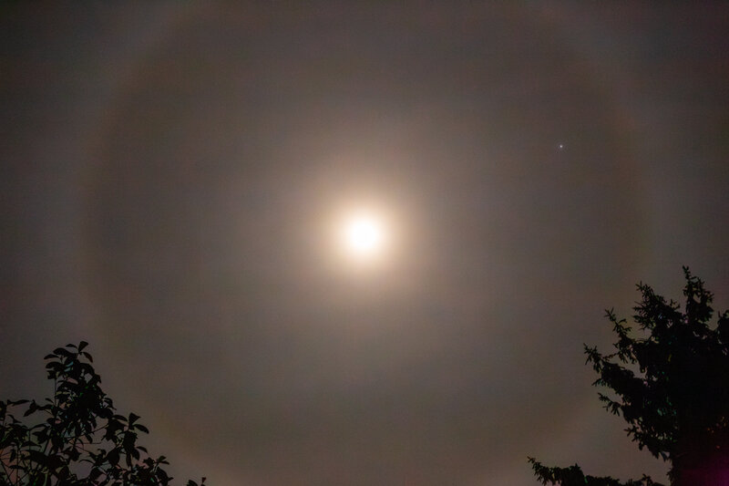 tagisu - 1769983267-524368-380