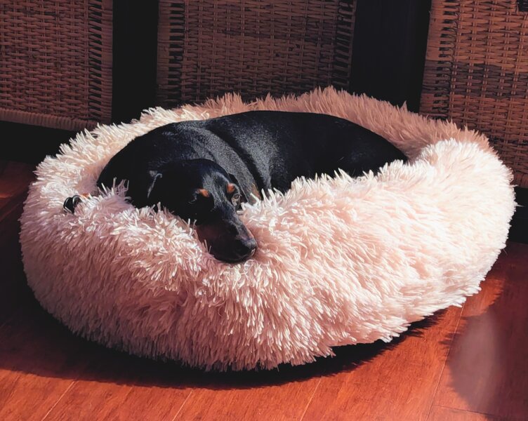 tagisu - 1772266044-1225713-537